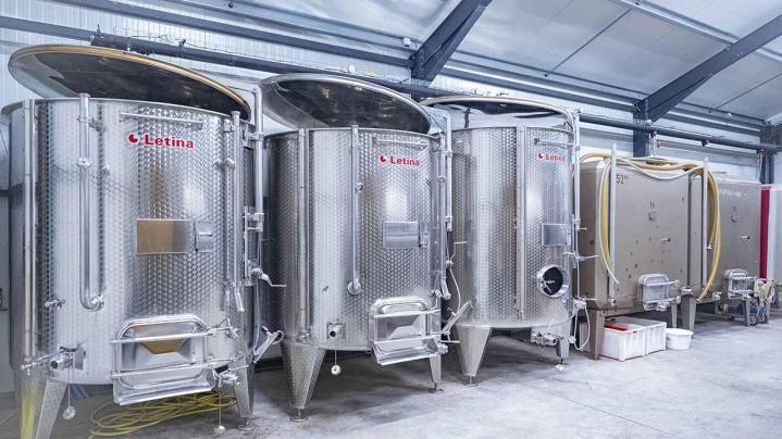 Production de vin Bohas-Meyriat-Rignat