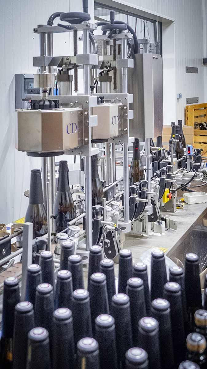 Production de vin Bohas-Meyriat-Rignat