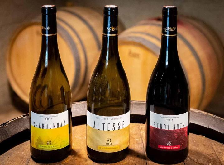 Vins Bohas-Meyriat-Rignat