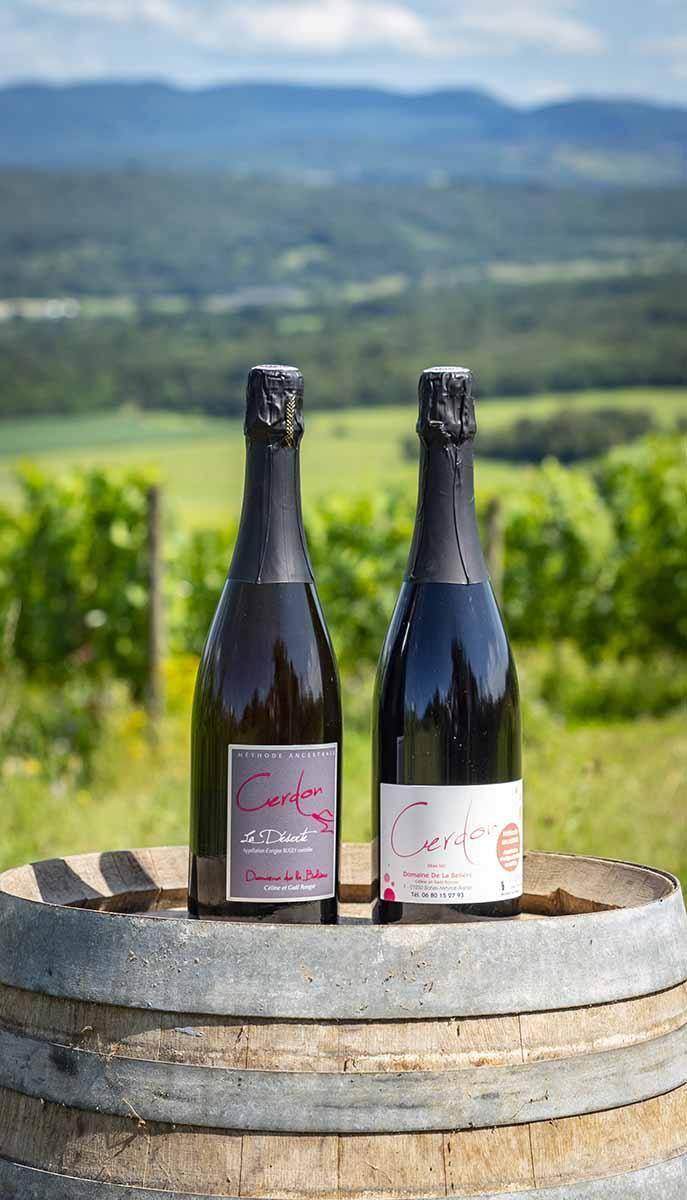 Nos vins – Bohas-Meyriat-Rignat