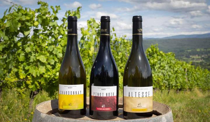 Nos vins – Bohas-Meyriat-Rignat