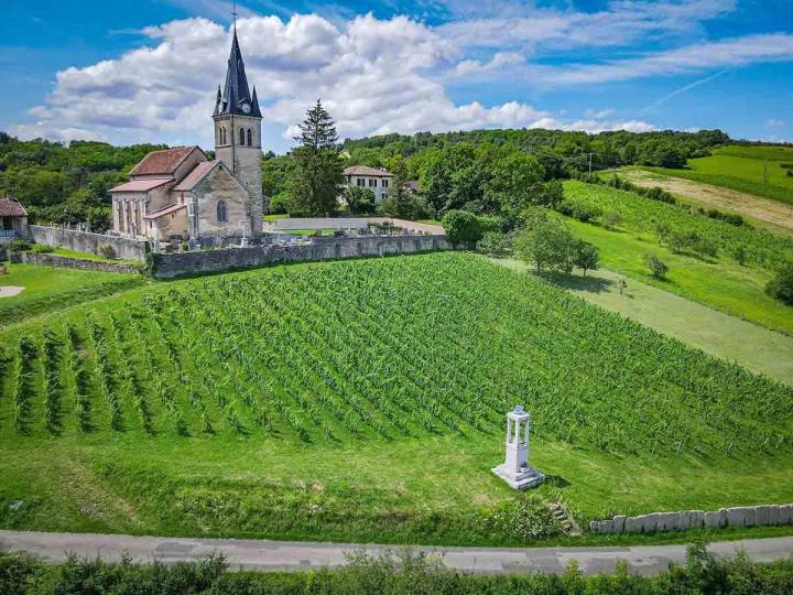 Domaine de production de vin Bohas-Meyriat-Rignat