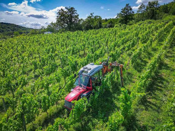 Domaine de production de vin Bohas-Meyriat-Rignat