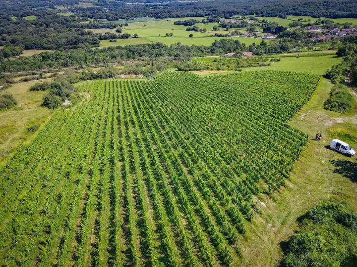 Domaine de production de vin Bohas-Meyriat-Rignat